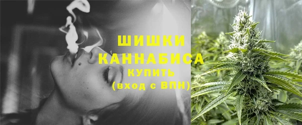 ешки Богданович