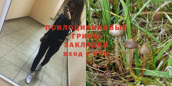 ешки Богданович